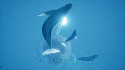 First ABZU Screenshot ABZU Download